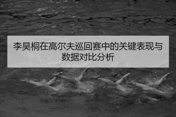 li-hao-tong-zai-gao-er-fu-xun-hui-sai-zhong-de-guan-jian-biao-xian-yu-shu-ju-dui-bi-fen-xi-2-909.jpg