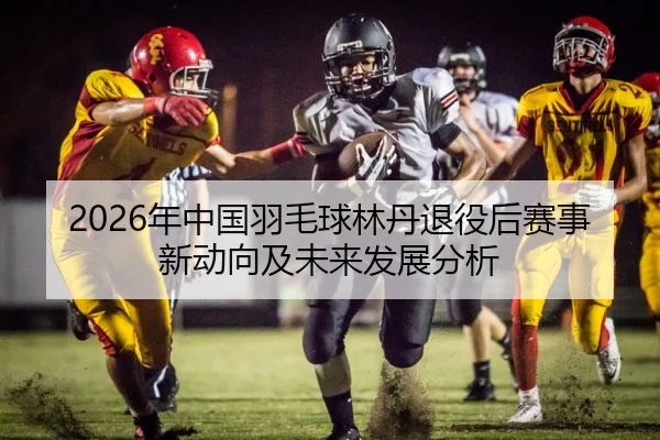 2026年中国羽毛球林丹退役后赛事新动向及未来发展分析